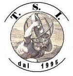 TSI Logo